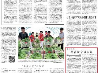 《农民日报》关注贵州岑巩：稻香满仓话丰年