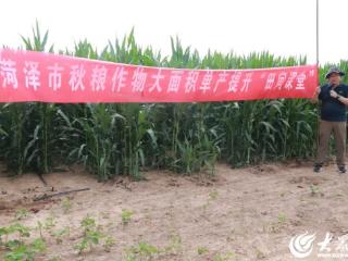 菏泽市秋粮作物大面积单产提升“田间课堂” 在东明县举办