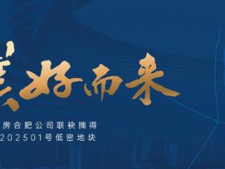 合肥二环“绿核”之上 合肥城建“执笔”低密生活新图景