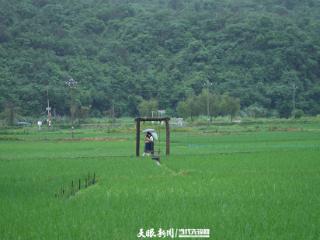 沿着公路找“彩蛋”③｜从路过到停下，这里是皮林村