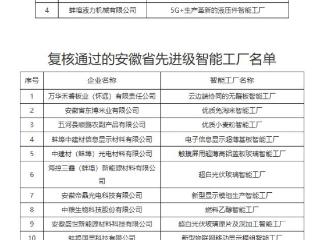 蚌埠4个先进级智能工厂获认定