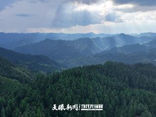 雷公山：野生动植物的生态方舟
