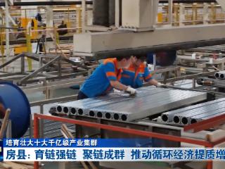 培育壮大十大千亿级产业集群丨房县：育链强链 聚链成群 推动循环经济提质增效