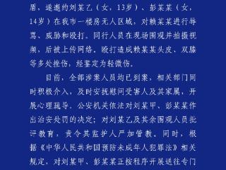 14岁女生在校外被3名女生殴打并拍视频上传网络,四川江油警方通报