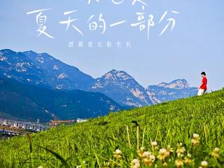 绝美出片打卡地！一棵全泰安最孤独的树，就在这里……
