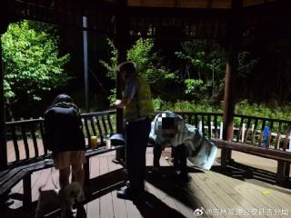 男子食物中毒服务区呕吐 民警及时救助快速送医