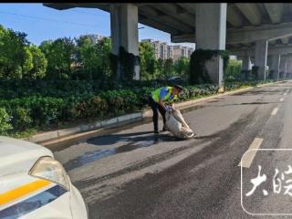 棉絮“拦路” 六安交通执法人员徒手清除保畅通
