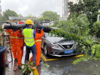 风雨中的守护 抗击“竹节草”中国太保在行动