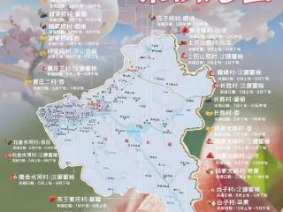 汶源蜜桃熟了！中国蜜桃之乡的夏日“邀请函”请查收