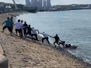 槐荫茶商在青岛救人获点赞