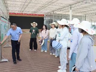 如何让禹王城“活”起来？轻工大学子给出三个新点子
