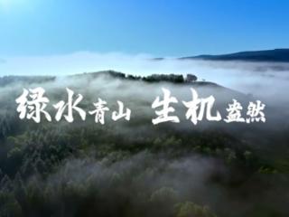 4269平方公里，习近平关切这个绿色“国宝”