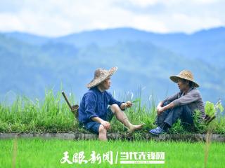 千年农耕的守正创新｜“有牛哥”杨正熙与洋洞村的振兴之路