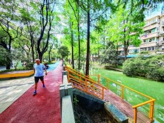沿河街绿地提档升级