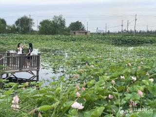 新疆是个好地方丨玛纳斯县八家户村江南韵引客来