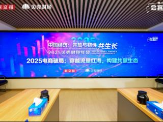 专家热议2025电商破局路径：拼多多“千亿扶持”助力商家突围流量红海，构建共赢生态