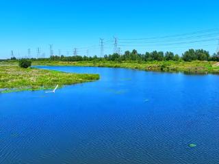 “四位一体”纵深治水，日照市聚力守好水生态