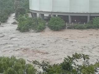天津集训遇暴雨洪流，济南短道速滑队两年轻教练引领40余人脱险
