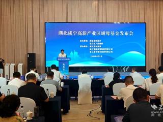 30亿元“湖北咸宁高新产业区域母基金”发布