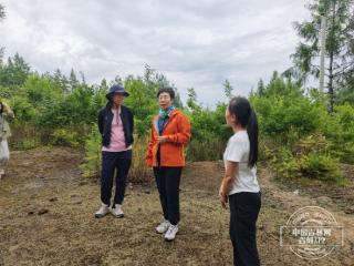 曼行吉林｜疆理虽重海，车书本一家