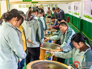 滕州龙阳镇以“人才+产业+品牌”绘就共富画卷