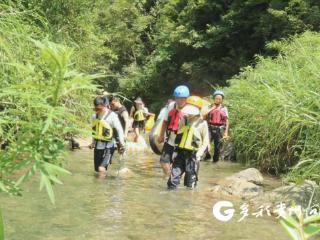 绥阳县青杠塘镇：火热夏天联结清凉经济 生态优势迸发产业新动能