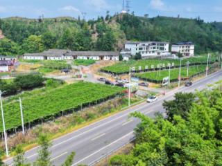 赣州蓉江新区百香果喜迎丰收