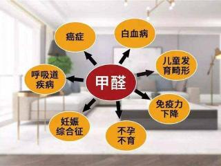 深度实测！2025新房去甲醛方法排行！