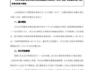 道恩股份补缴税款及滞纳金1615万元，2025年净利等额缩水