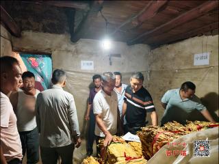 房县青峰镇：识好“金叶子” 鼓起烟农“钱袋子”