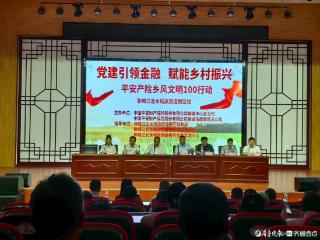 平安产险聊城中支与聊城度假区三镇街共建党建阵地助乡村振兴