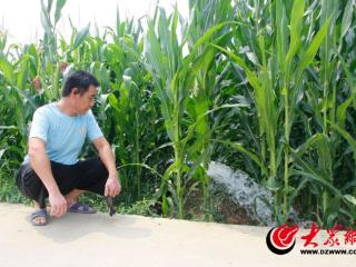 山东沂南：打好抗旱保秋攻坚战
