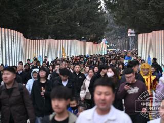 特别关注｜从听说到现场，他们看见超“吉”IP的真模样