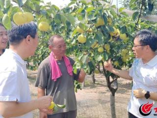 嘉祥县第一书记工作队“牵线搭桥”解农忧