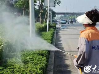 菏泽市城管局：扎实开展蚊蝇消杀工作 营造干净舒适生活环境
