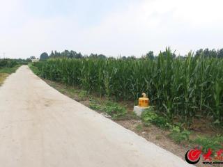坦途连沃野 荷香拂东沟——兰山区狄家庄村绘就乡村振兴新图景