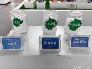产业链上的山东好品牌｜福洋生物：玉米变形“黄金链”成全球单冠
