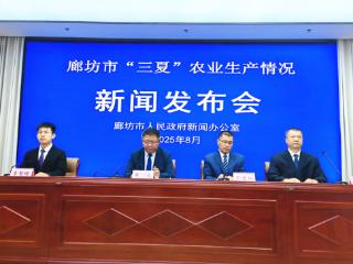 廊坊夏粮单产实现连续第三年增长 增幅高于全省0.2个百分点