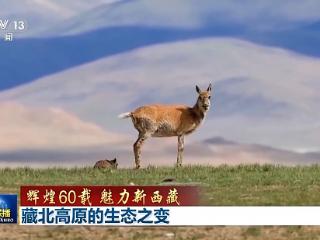 辉煌60载 魅力新西藏丨藏北高原的生态之变