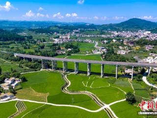 黔西：科学管控水稻孕穗抽穗期 确保水稻稳产丰收