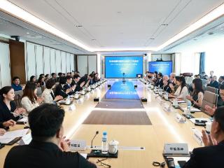 中英健康创新平台首次工作会议在京召开 开启跨境产业合作新篇章