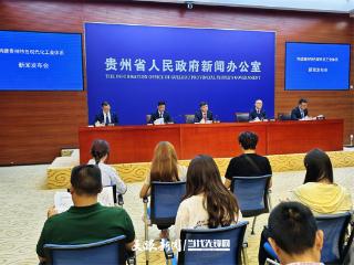 稳存量 扩增量 优结构｜贵州将以更多务实举措推动重点产业发展