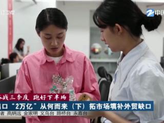 奋战三季度 跑好下半场丨出口“2万亿”从何而来：拓市场填补外贸缺口