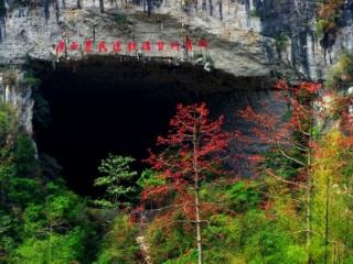 东兰县：首届广西“县BA”篮球联赛举办地全景扫描