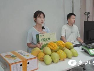 搭上电商“快车” 望谟芒果奔赴万家