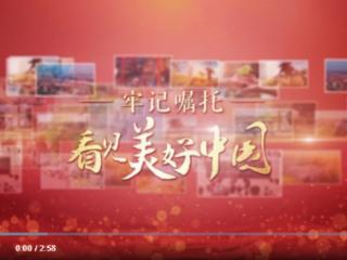 【牢记嘱托·看见美好中国】绿了山村 富了乡亲