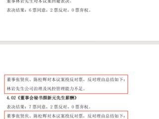 三雄极光董事会内讧愈演愈烈 董事长被指“管理混乱”致公司陷入亏损