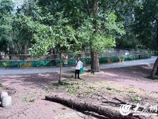 细节提质！南山公园让夏日游园更舒心
