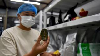 贵州影像故事（84）｜贵阳咖啡12小时(图1)