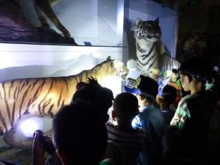 夜宿博物馆一票难求